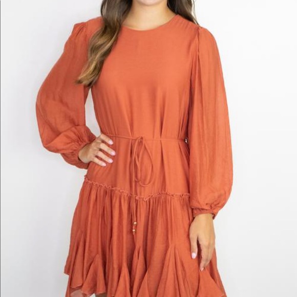 Rust Longsleeve Textured Dress - Picture 3 of 5